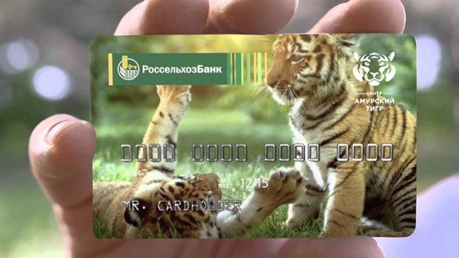 Кредитная карта «Амурский тигр»